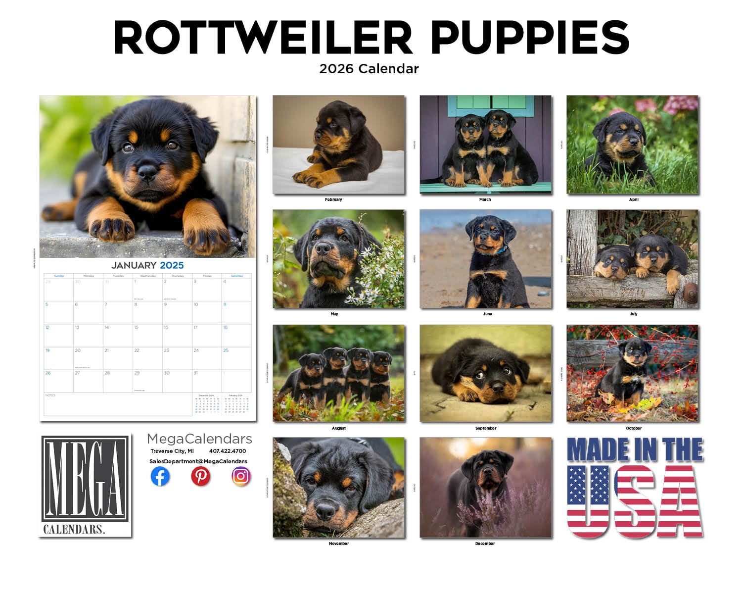 2024 2025 kalendarz szczeniąt rottweiler - miesięczny kalendarz ścienny rasy psów - 30 x 45 cm otwarty - gruby papier bez przebarwień - prezent - akademicki planer nauczyciela kalendarz organizowanie