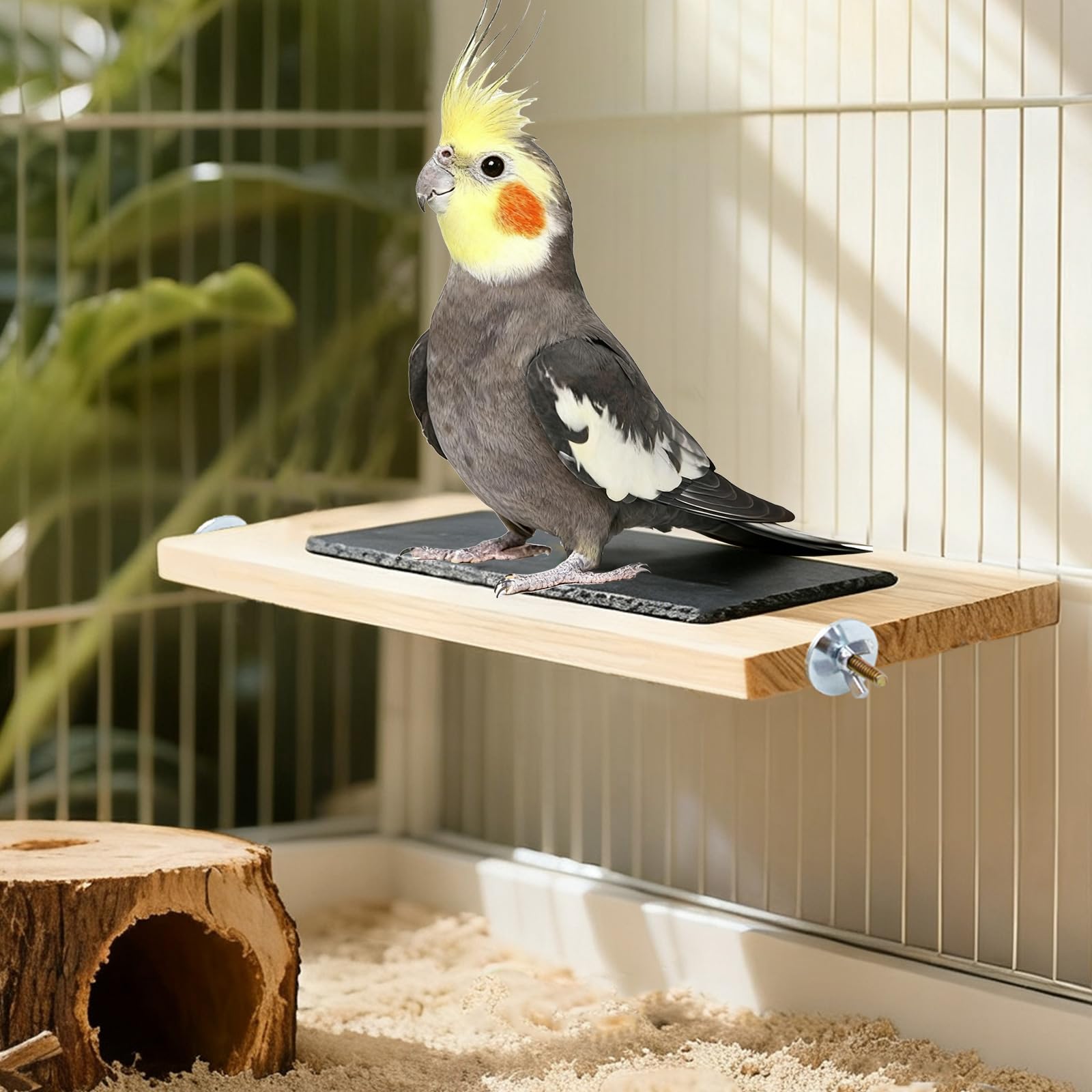 Bird Perch, Wooden Platform with Slate Rock, Bird Playground, Parakeet Shelf Stand Platform, Cage Accessories for Budgies, Cockatiels, Lovebirds, Green Cheeks, Small to Medium Birds - image 6