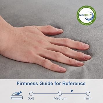 SINWEEK Tri Folding Mat Foam Topper 3.95 Thickness Floor Cot Mat, Guset mat with Removable&Machine Washable Cover and Lining, CertiPUR-US Certified 25 x 75 Inch