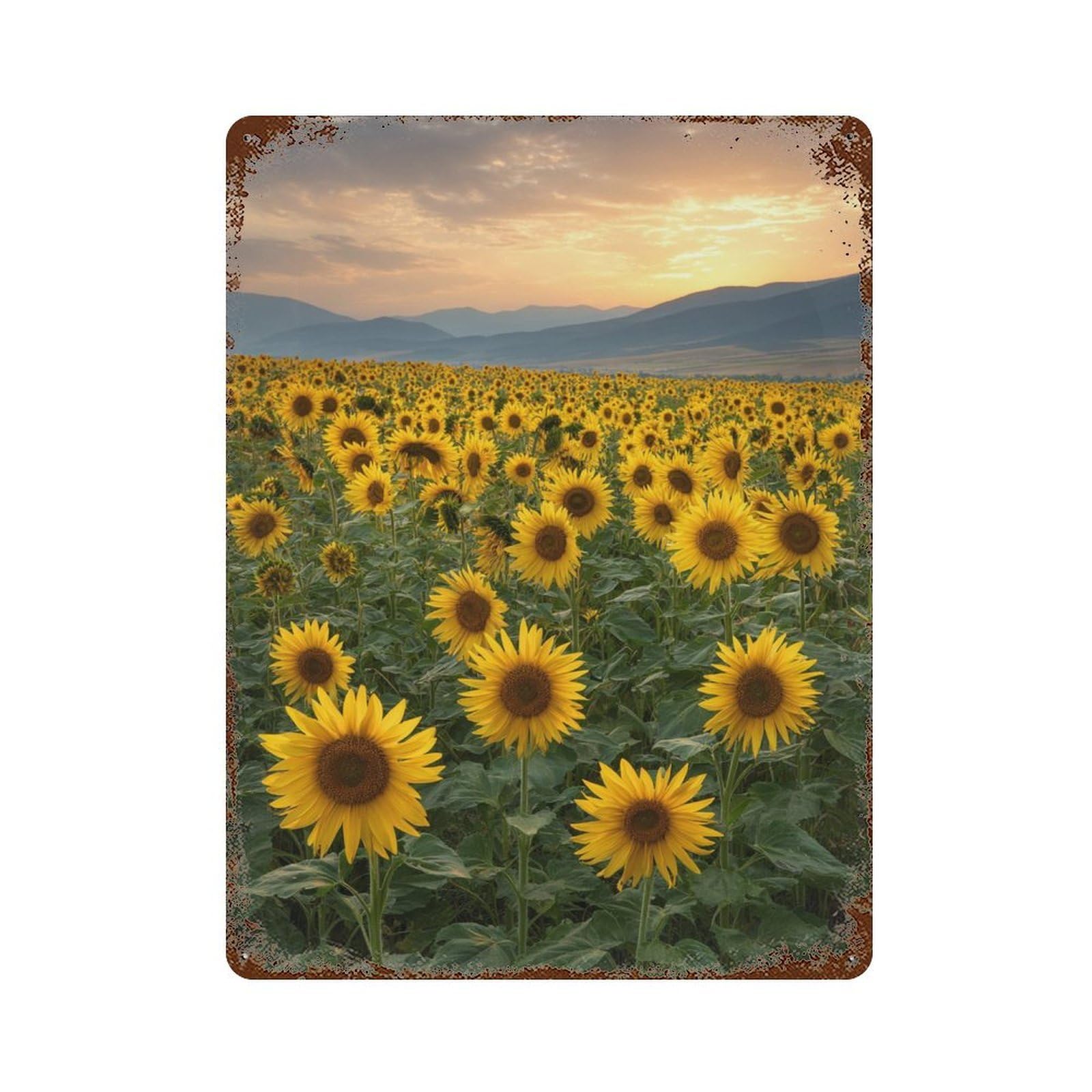 Sunflower Field Sunset-8 15.7"x11.8" Weathered Tin Sign, Rustic Home Decor for Living Room, Hallway And Home Decor