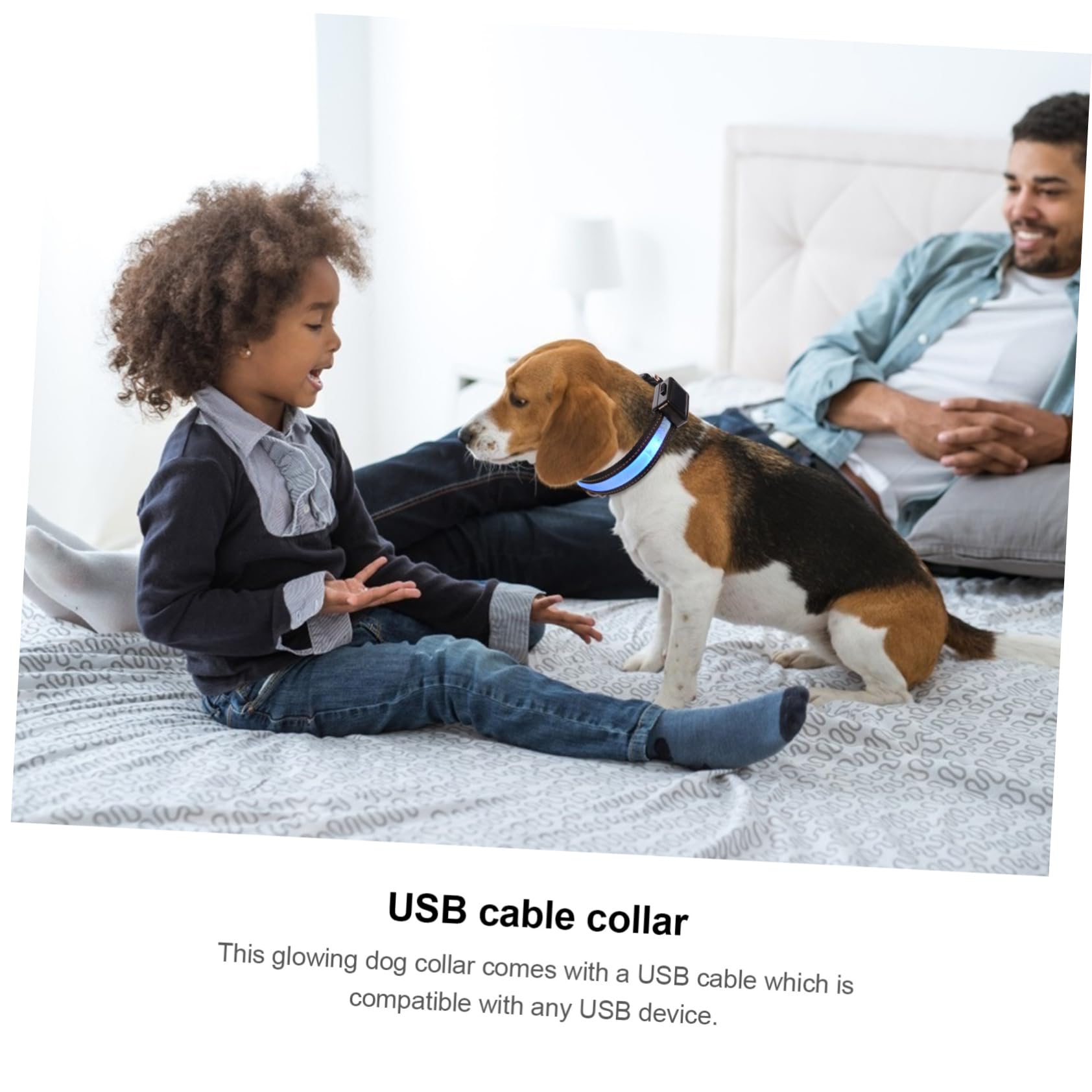 FRCOLOR 3 Juegos Collar De Brillo para Mascotas Collar De Perro Recargable USB Nuevos para El Hogar Brillante Pequeño Perro De Luz Led Plástico Dirigió Cuello