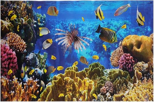 Balacoo Aquarium Background Aquarium Background Wallpaper Underwater World Aquarium Background Sticker Pvc Adhesive Decoration Paper Sticker Poster 30 X 61 Cm Amazon De Pet Supplies