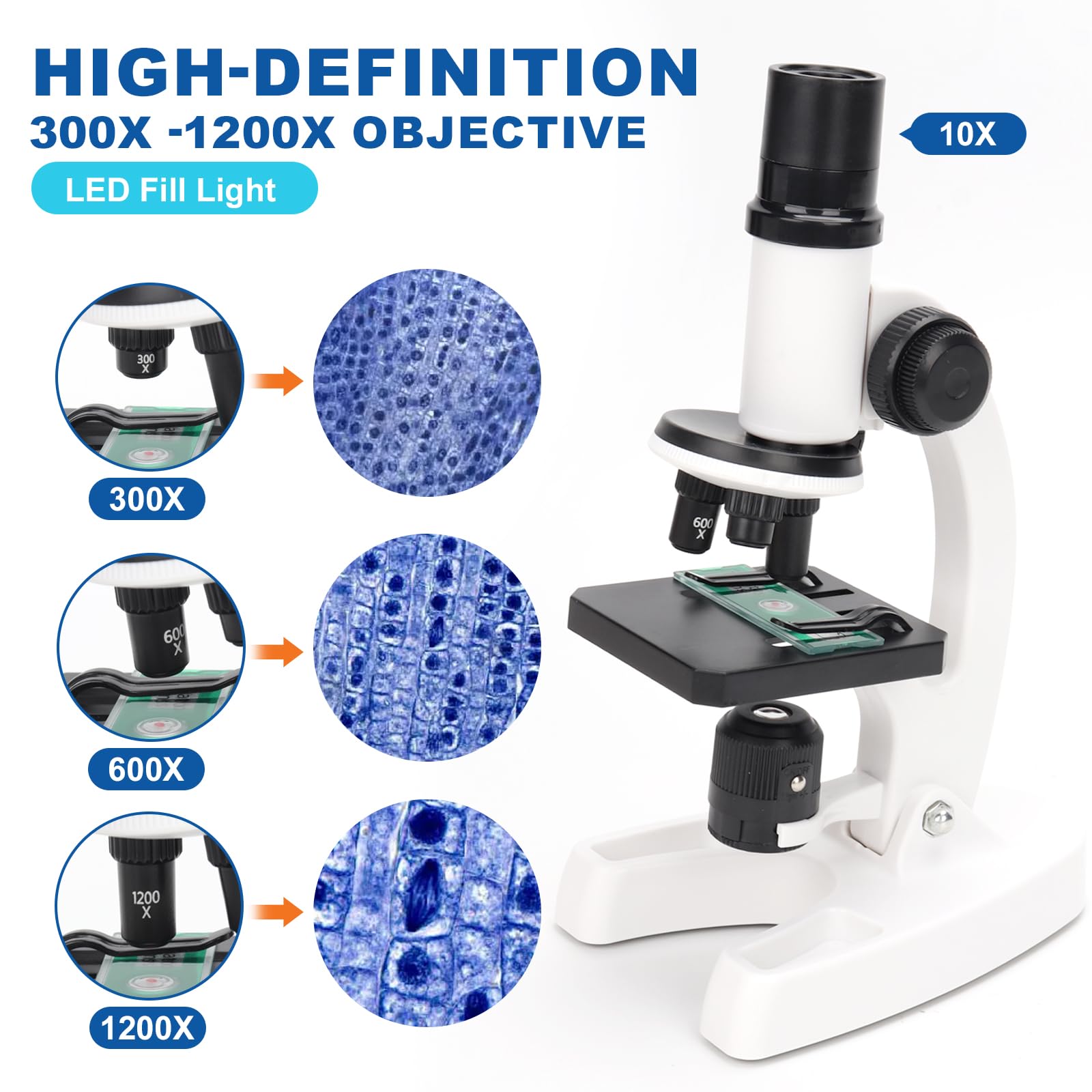 Microscopio Per Bambini 4800x - Set Completo Con LED, Vetrini E Accessori, Per Ragazzi Dai 6 Anni, Esperimenti Scientifici Portatili - 5