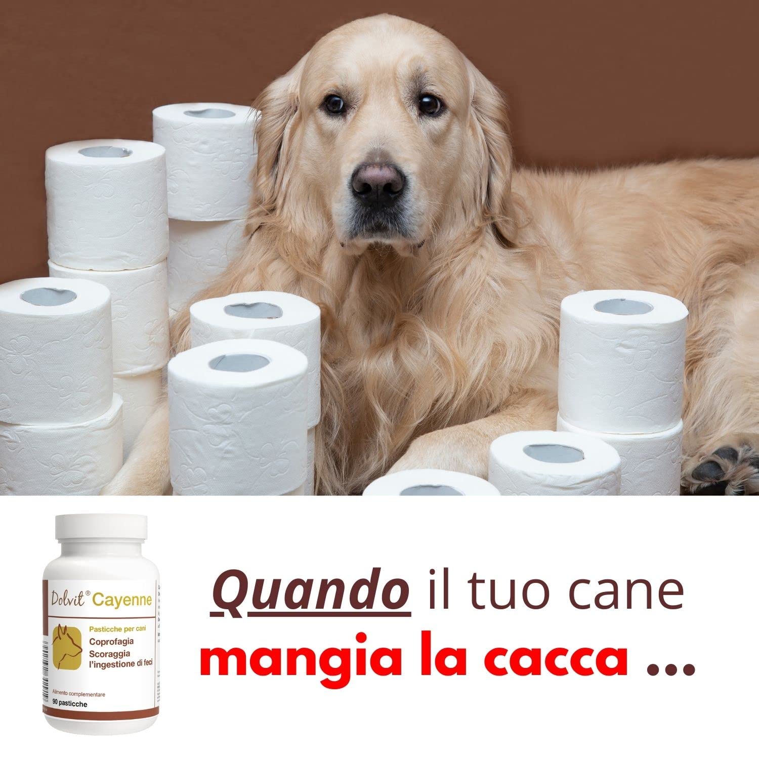Dolvit Cayenne Coprophagie Chien - 90 pastilles à croquer inhabituelles, Complément naturel