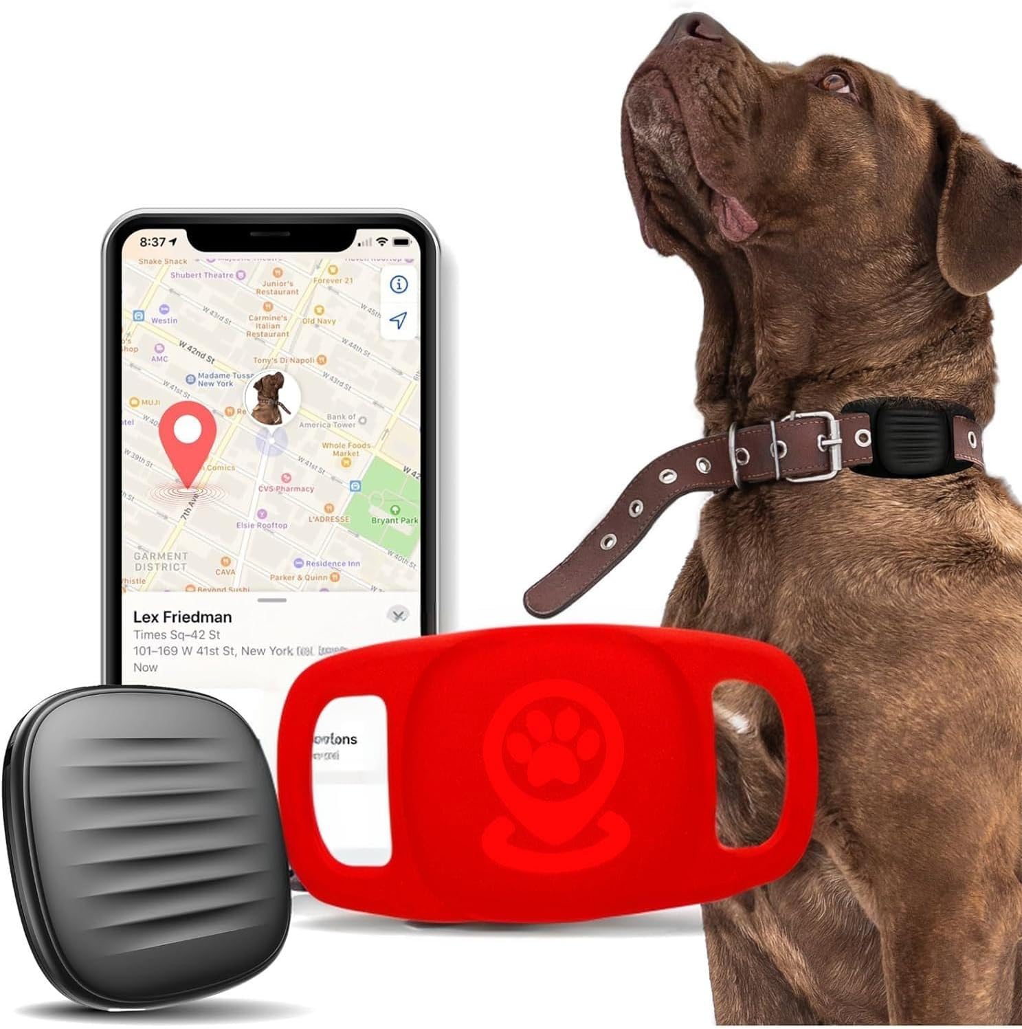 Pet Tracker for Dog, Dog Tracker Smart Pet Location Tracker with Tracker Holder, Item Finder MFi Certificated Tracking Device, No Monthly Fee, Works with Find My (iOS Only) Not GPS Tracker Blue