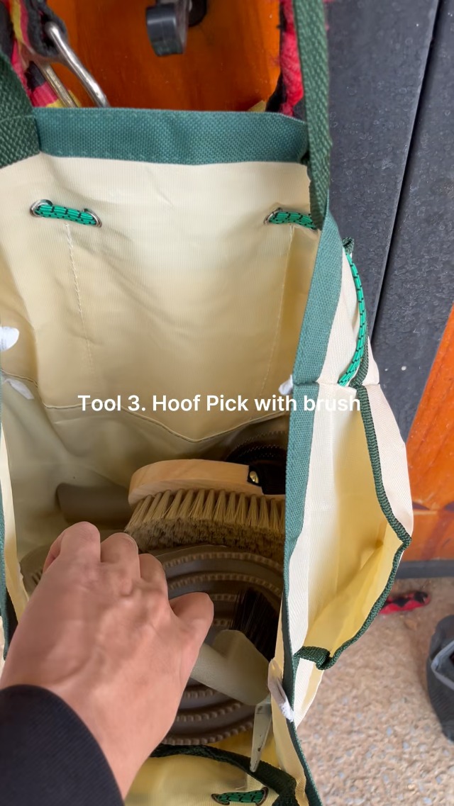 Professional 10 Pieces Horse Grooming Kit with Tote Bag, Horse Brush & Curry Comb Set for Effective Grooming and Bathing, Equine Coat Care Tack Room Supplies, Horse Gifts for Girls - image 7