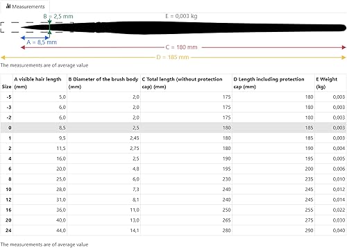 Vista 8 de Cepillo COLINEO Serie 5522 Redondo TAM 0