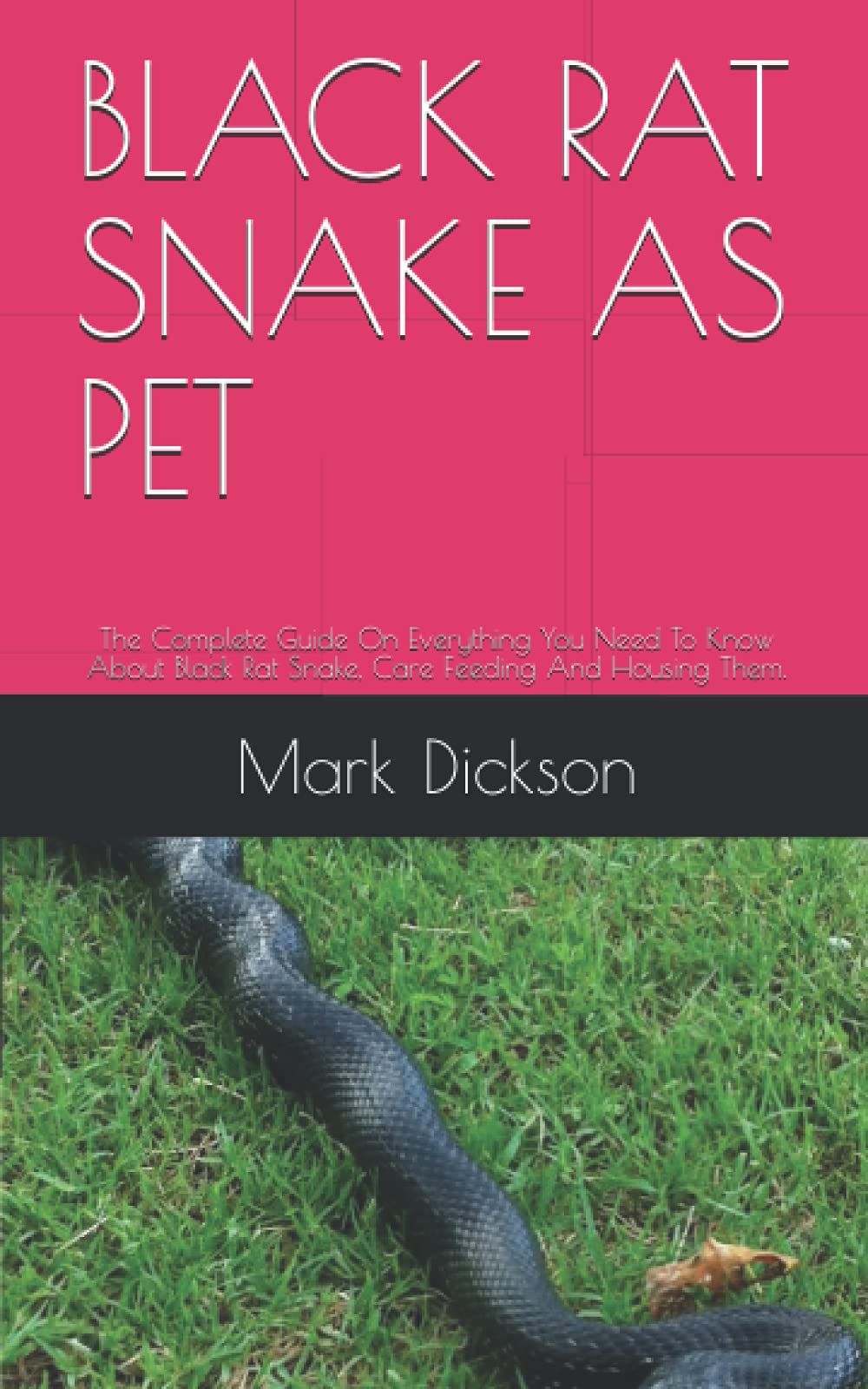 Buy BLACK RAT SNAKE AS PET The Complete Guide On How To Take Good Care Of Your Black Rat Snake