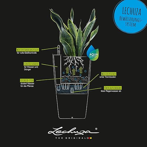 Miniatura 5 de Lechuza 13158 Cubico Color 40 - Maceta de riego automático para uso en interiores y exteriores, 16 x 16 x 30 pulgadas, pizarra