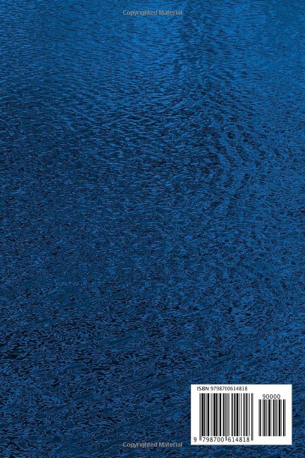 356 DAY Notebook/Journal: 365 Page Lined Daily Journal for 2021 and Beyond, Dark blue Leather Look Paperback Design, 6 x 9 - Image 2