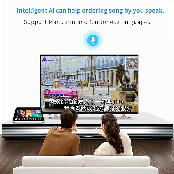 InAndOn Karaoke System, 22 inch Karaoke Player with Wireless Microphone, Cloud Song Update, YouTube, Movie, KTV Machine 4T