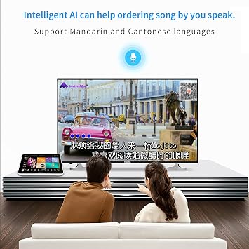 InAndOn Karaoke System, 22 inch Karaoke Player with Wireless Microphone, Cloud Song Update, YouTube, Movie, KTV Machine 4T