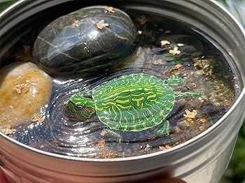 Amazon | BACALYSO | アカミミガメ フィギュア 10CM級 動物 ミドリガメ