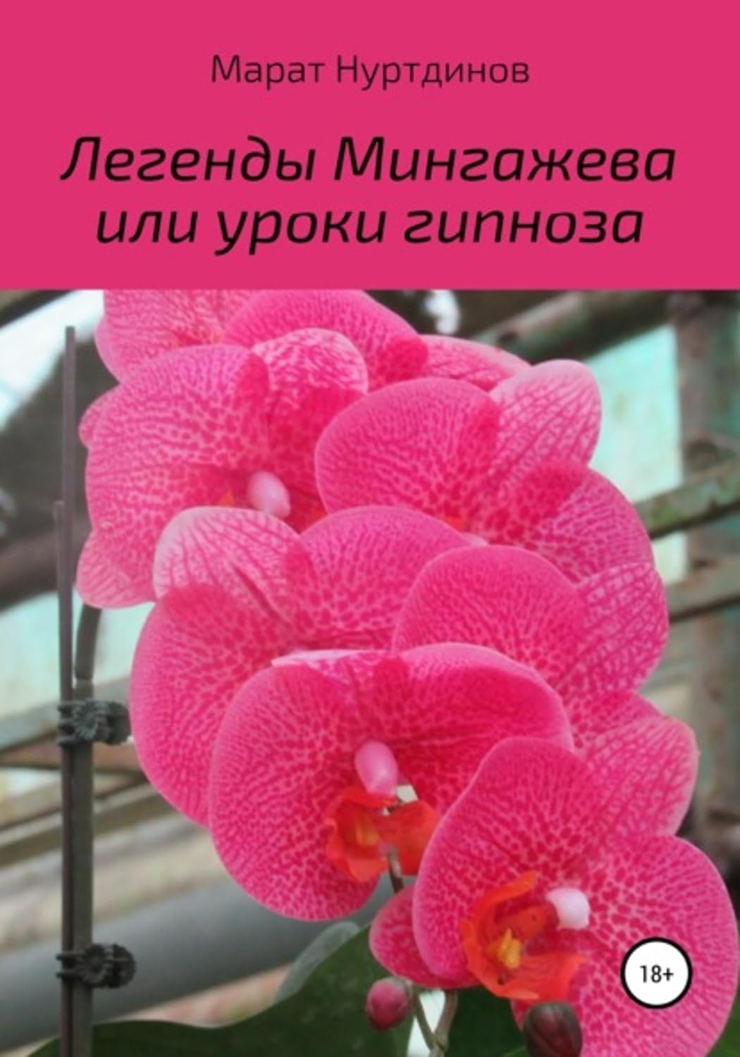 Легенды Мингажева, или Уроки гипноза (Russian Edition)      Kindle Edition