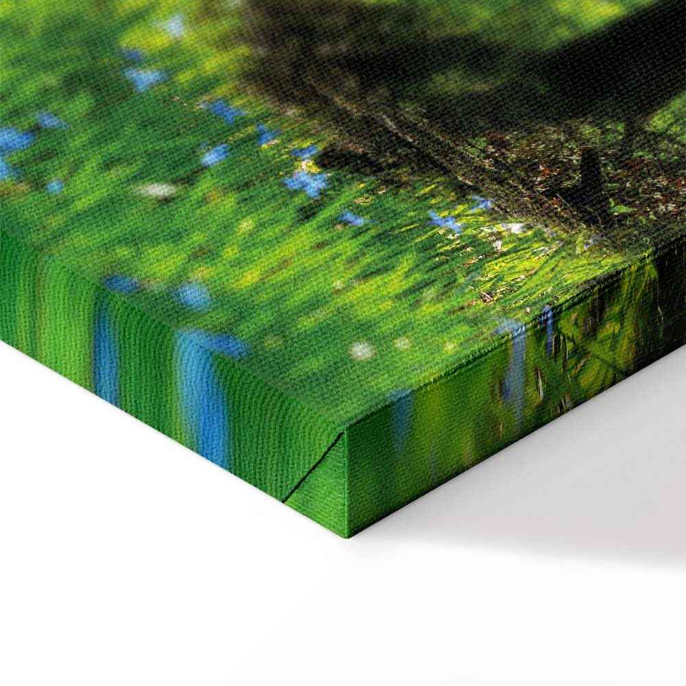murando - Akustikbild Schalldämmung Bäume Wiese, 80x120 cm, 1-teilig, Büro | Verbessert Raumakustik, reduziert Hall, ideal fürs Büro oder Wohnzimmer, hochwertige Verarbeitung, schnelle Montage, stilvoll