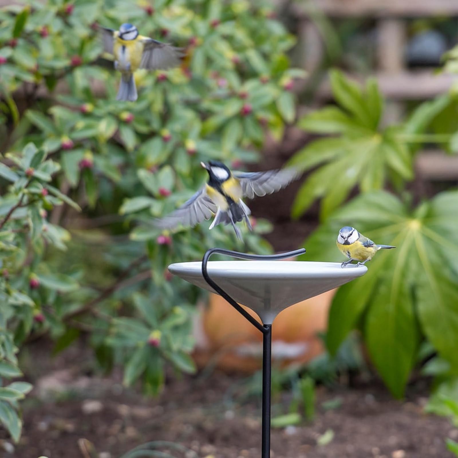 Crocus Grey Collection 100Cm Wild Bird Feeder Bowl Feeding Station On Stake Stand Putty