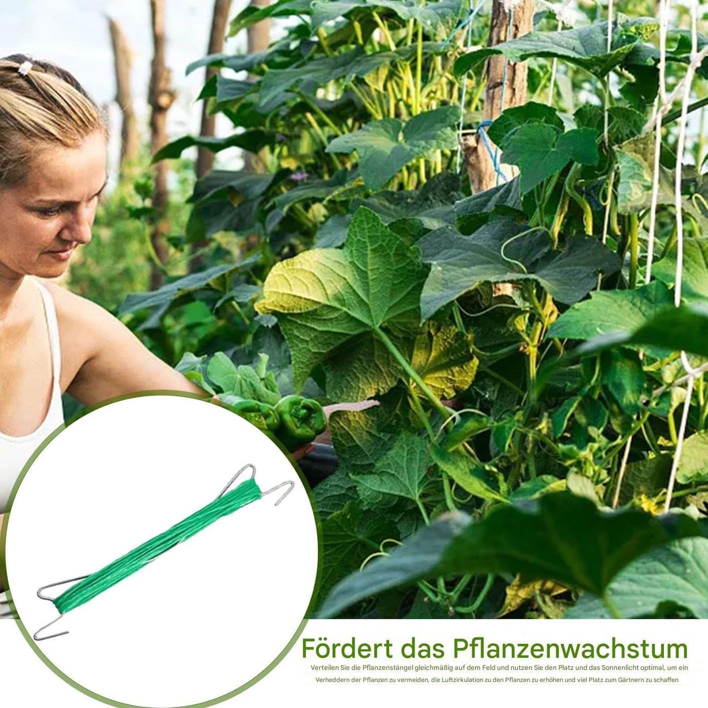 Ganci per Pomodori con Corda e Clip Resistenti | 40 Pezzi Ganci Per Piante Rampicanti Per Traliccio Adatti a Vite, Frutta, Colture, Cetrioli, Peperoni, Uva, Giardino