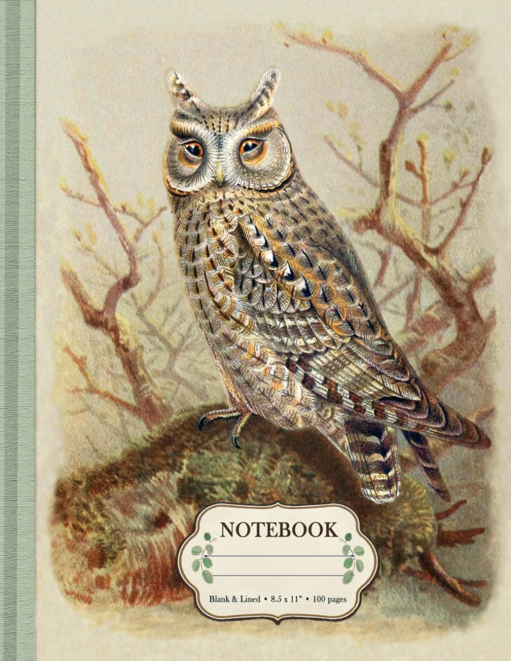 Vintage Owl Notebook | Dual Notebook Blank and Lined 8.5 x 11" | Scops Owl Illustration | Softcover, Ivory Paper, 100 Pages