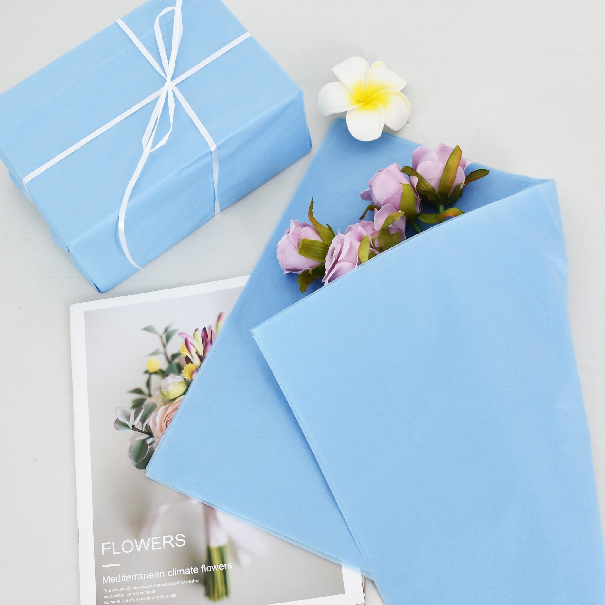 RIBBOOO Lot de 100 feuilles de papier de soie gris bleu 35,6 x 50,8 cm Papier cadeau en vrac pour projets DIY, sacs cadeaux, emballage cadeau, mariages, Saint-Valentin, Pâques, Noël et anniversaires