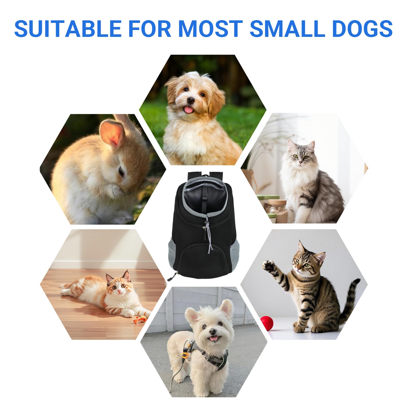 Zaino per Cani e Gatti Regolabile e Traspirante（3-7kg） - Zaino Porta Cane con Guinzaglio di Sicurezza e Apertura Regolabile - Zaino Gatto Portatile per Escursioni, Bicicletta e Attività all'Aperto