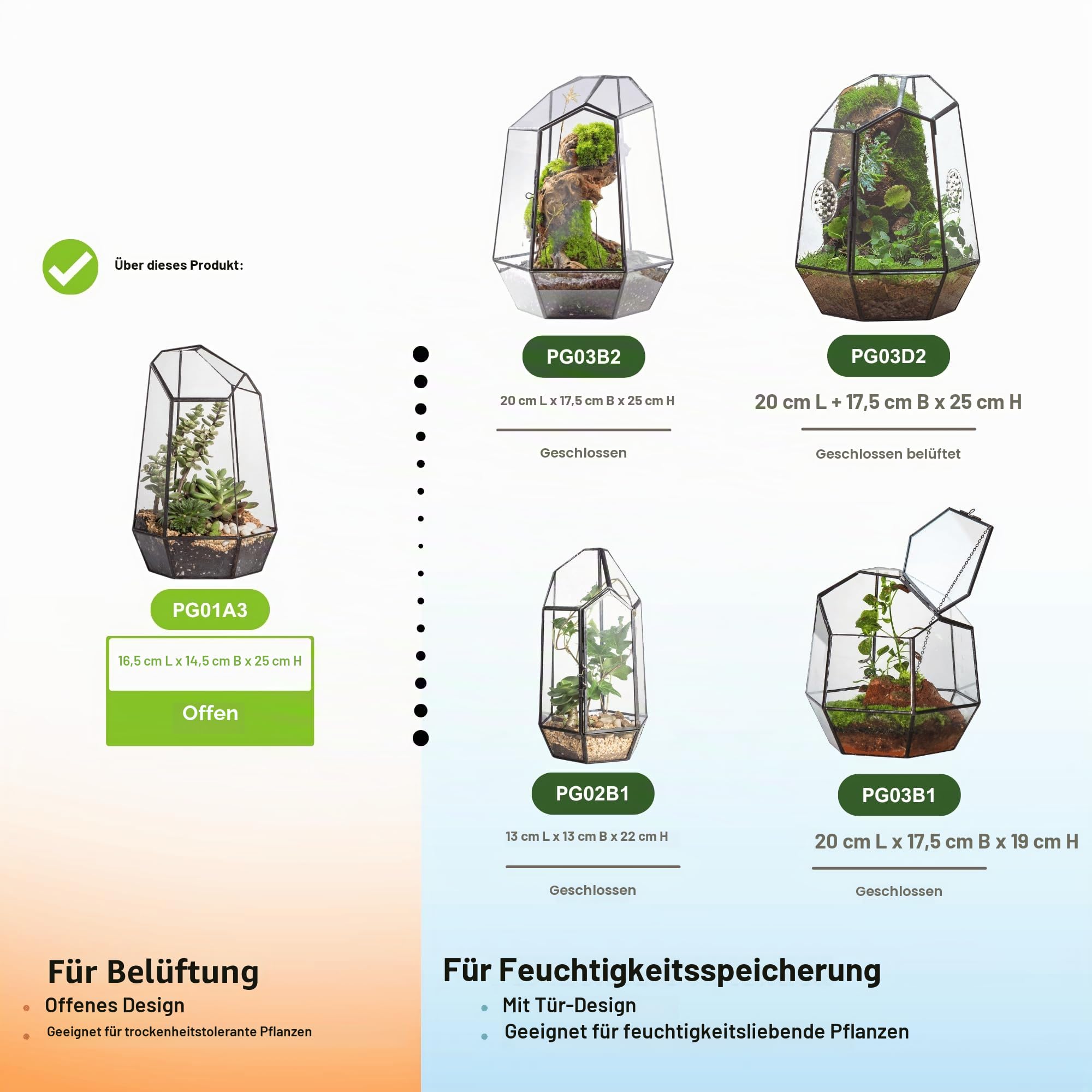 NCYP 16,5x16,5x25cm Glas Geometrisches Terrarium Keine Tür, unregelmäßiges Prisma,25 cm hoch Blumentopf für Sukkulenten, Farn (Ohne Pflanzen)