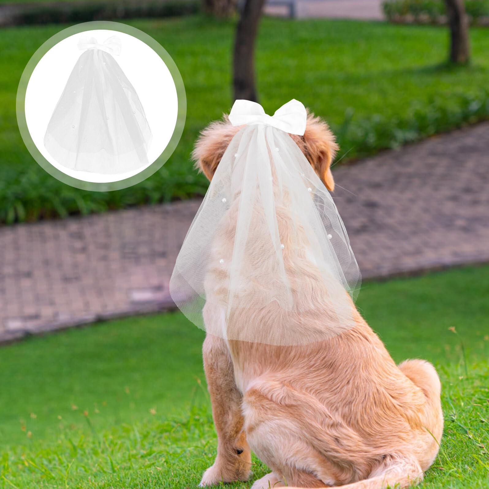 Kichvoe Velo da Sposa per Cane in Garza Bianco Design Elegante e Delicato, Accessorio per Decorazioni e Matrimoni di Animali Domestici, Esperienza di Indosso Piacevole