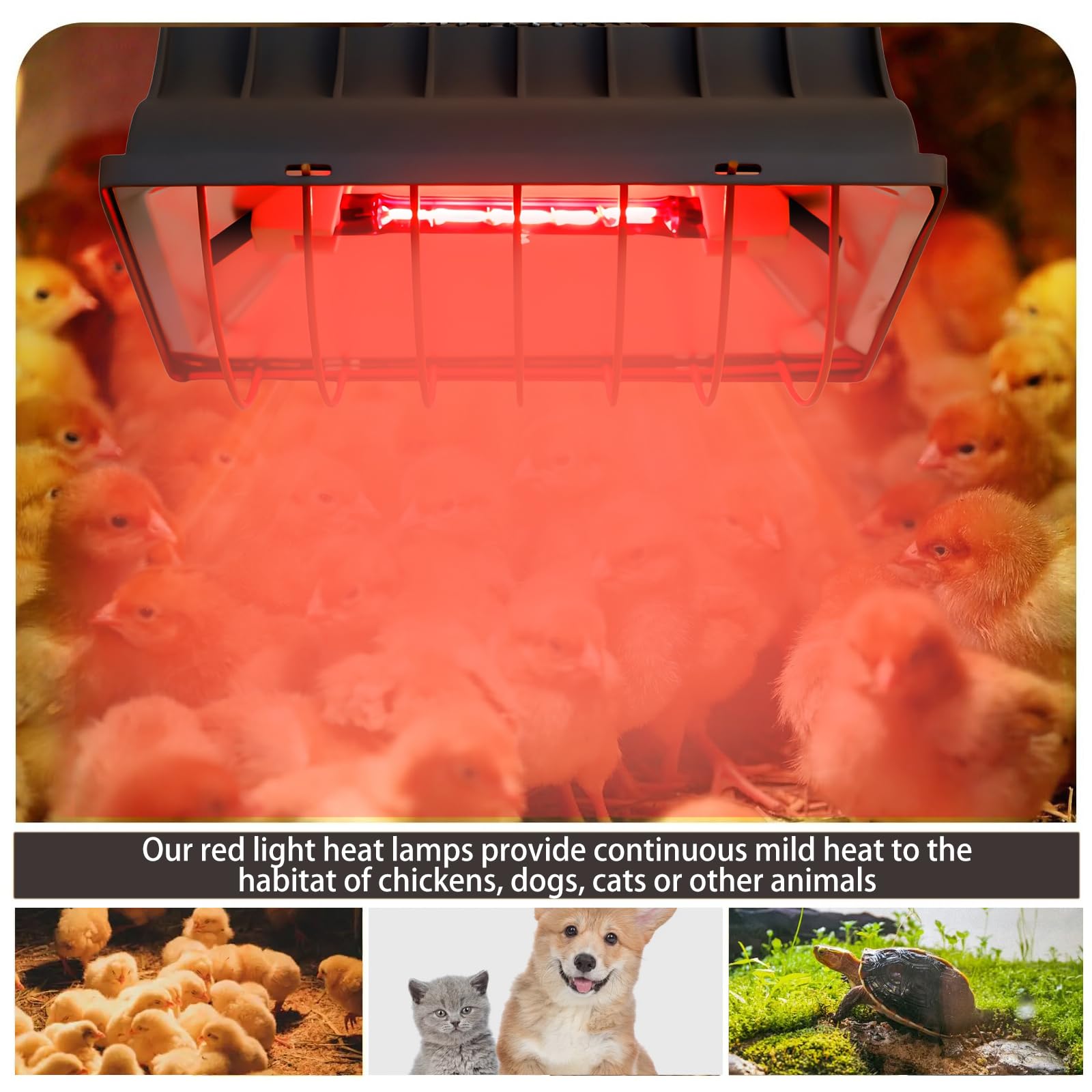 Lámpara de luz roja de 175 W, para gallinero, con cable de 1,8 metros, lámpara de calor para pollitos con interruptor, lámpara de calor para pollitos
