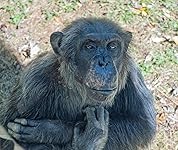 Review Image by RetiredAndLovingIt RetiredAndLovingIt