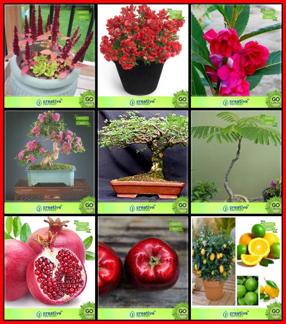 Creative Farmer Plant Gardening Combo Flower Seeds & Fruit : Pomagranate, Apple, Lemon Fruit, Queen Crape Myrtle, Peltophorum, Coco Tamarind, Amaranthus Pygmy, Antirihinum Tom Thumb Dwarf Mix, Balsam Kitchen Garden Pack