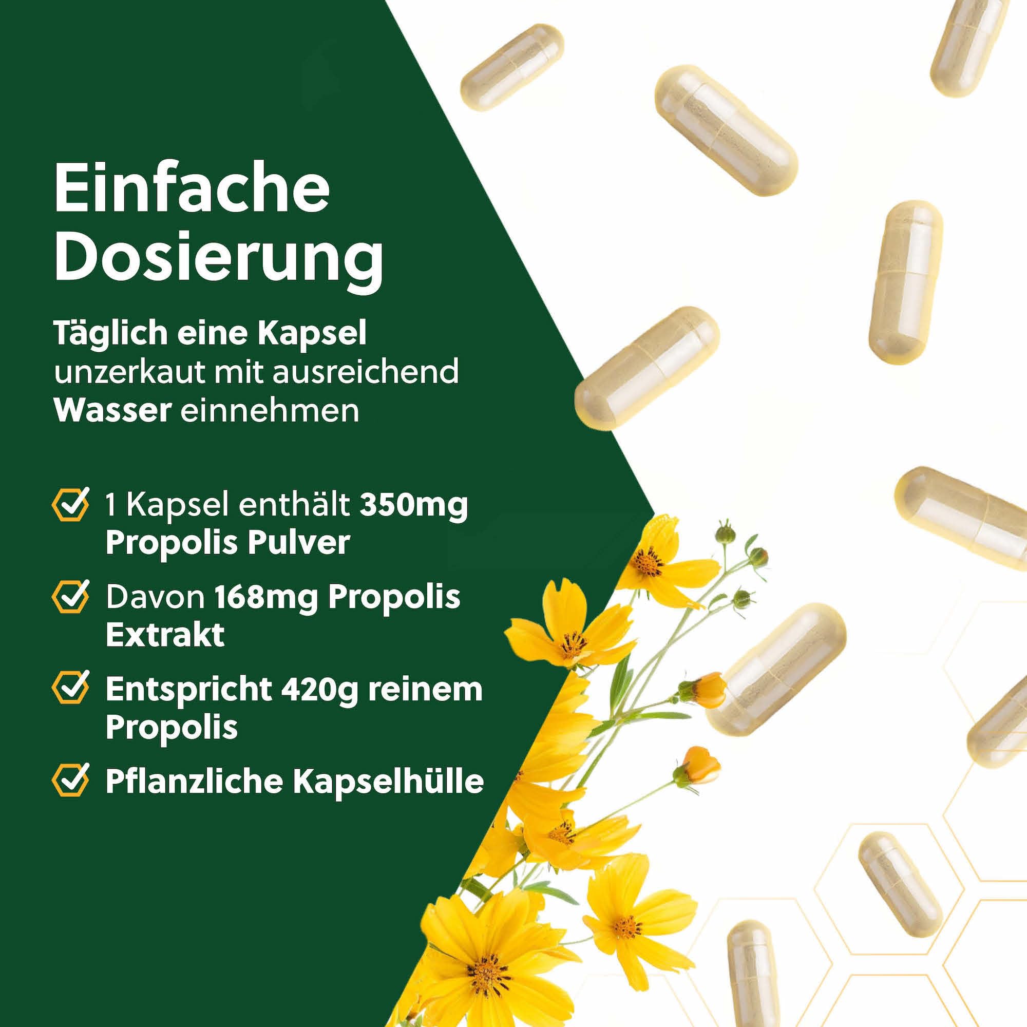 beegut BIO Propolis Kapseln, 120 Kapseln in pflanzlicher Kapselhülle mit BIO Propolis Extrakt, nachhaltige Verpackung