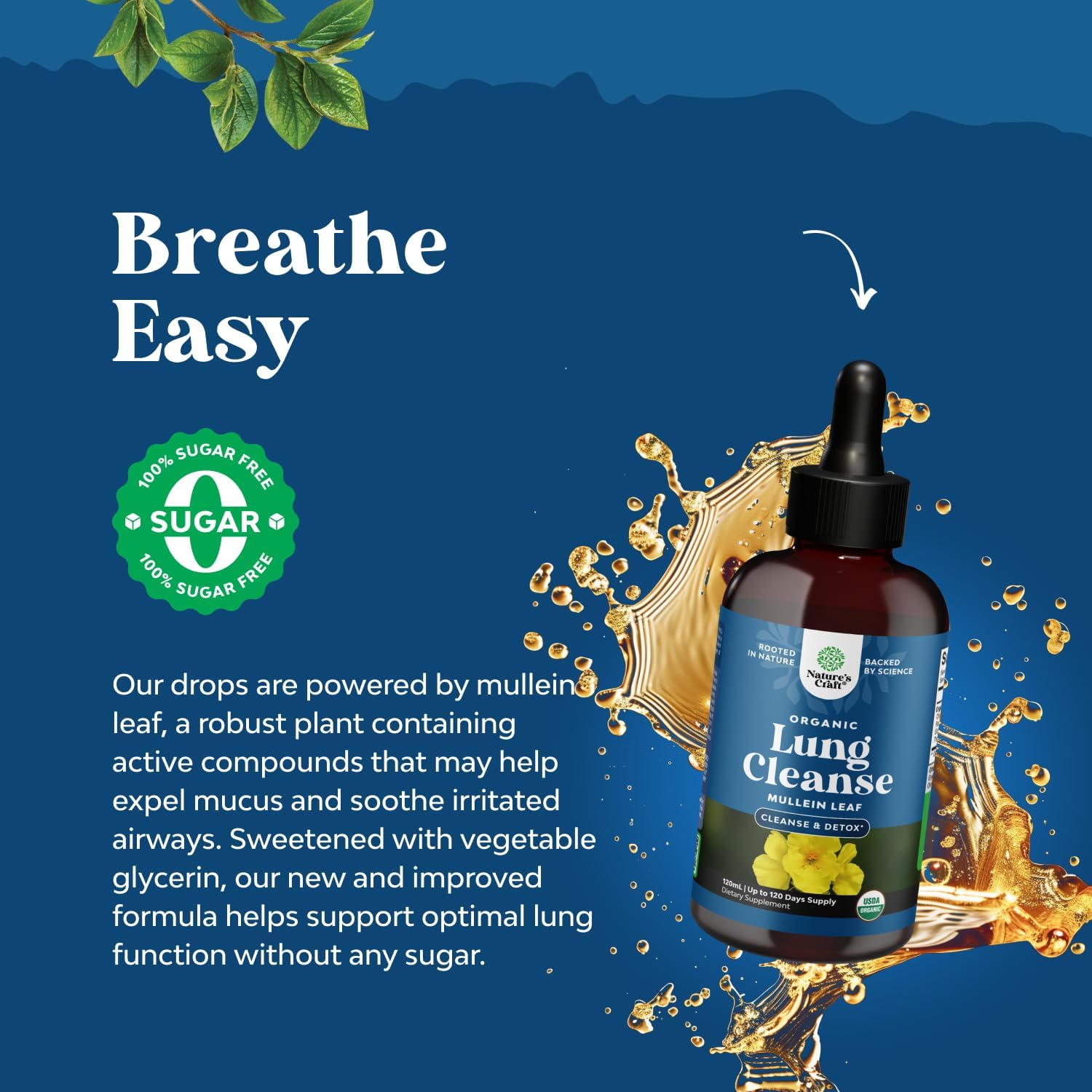 Organic Mullein Drops for Lungs - Lung Detox & Cleanse with Marshmallow Root Extract & Plantain Leaf for Respiratory Lung Health - Mullein Leaf Tincture Drops for Breathing Support - 4 Fl Oz (2 Pack)