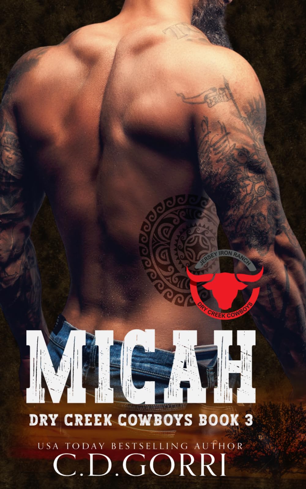 Micah: A Jersey Iron Ranch Steamy Cowboy Romance (Dry Creek Cowboys)