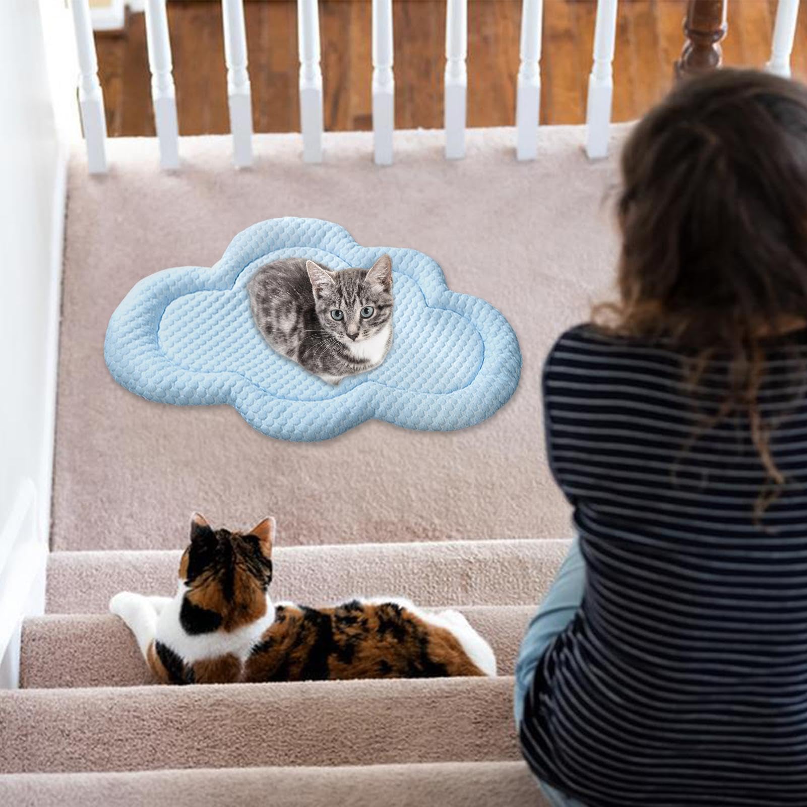 Alfombrilla de refrigeración para mascotas, suave y bonita alfombrilla de refrigeración para gatos, suministros para mascotas de y verano para perros pequeños y medianos, alfombrilla | refrigeración para gatos, suministros para mascotas de y verano para p