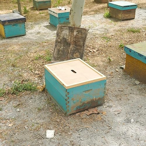 Miniatura 5 de Beehive - Cubierta interior de 10 marcos Langstroth Beehive cubierta interior para apicultura