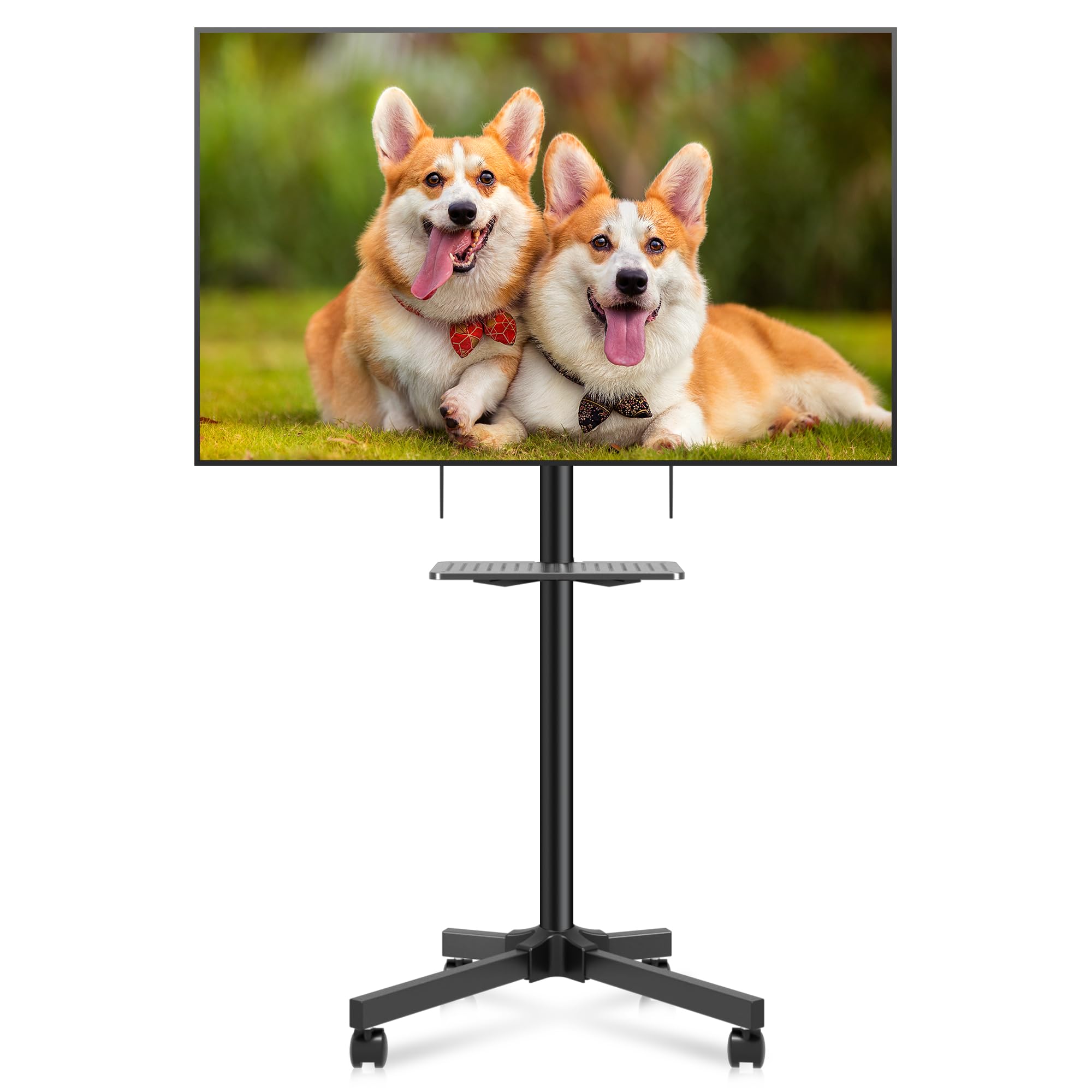 XINLEI Supporto TV mobile su ruote, carrello TV portatile con ripiano per TV a schermo piatto curvo da 21-60" fino a 35 kg, supporto TV alto regolabile in altezza su rotelle, VESA Max 400x400 mm ML55A