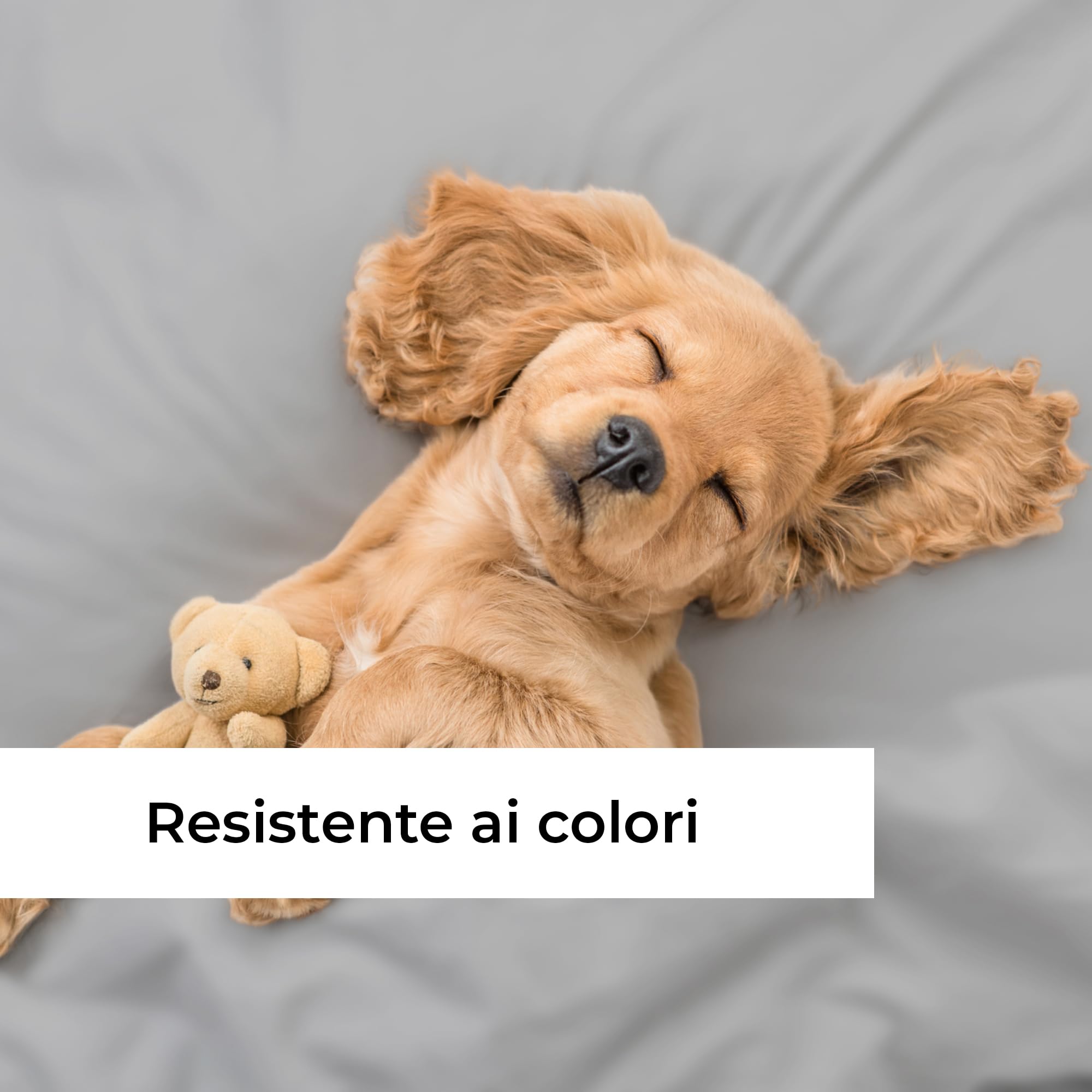 Lenzuolo con angoli 90x190cm – Altezza del bordo 40cm – In microfibra di poliestere spazzolato – Adatto per letti boxspring – Si adatta a materassi fino a 40cm – Certificato OEKO-TEX, Grigio chiaro