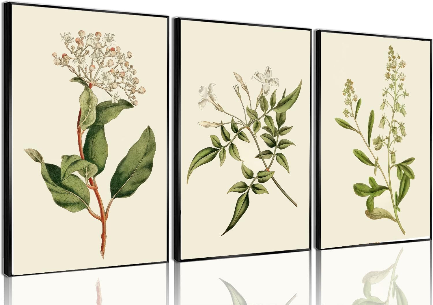 3pcs Sage Green Botanical Antique Flower canvas Wall Art Boho Neutral Poster Painting Artwork Vintage Summer Floral Plants Pictures for Bedroom living room Farmhouse bathroom Kitchen Wall Decor（12x16inch Unframed）