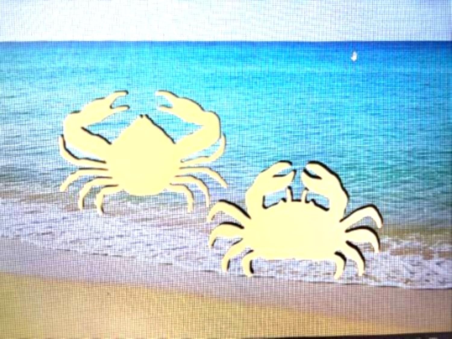DCentral® Crabs II Flexible Vinyl Safety Screen Magnets: Double-Sided. White-Easier to See Day & Night. Decorative. Helps Stop Walking into Screens, for Non-RETRACTABLES, Size W 5" x L 3.5"