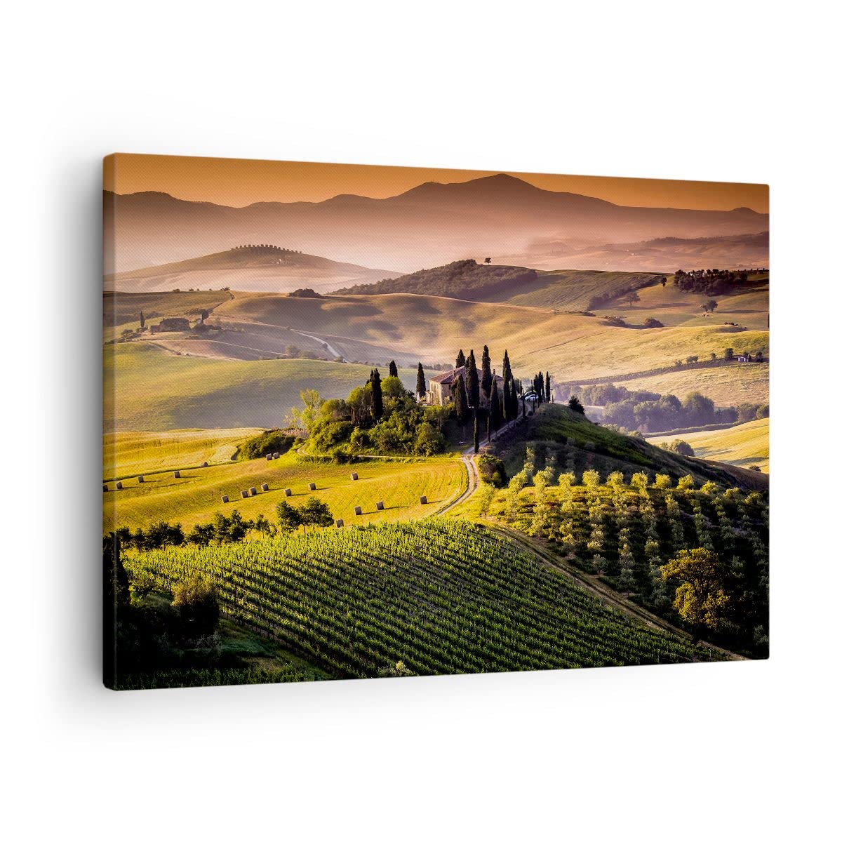Moderno Quadro su Tela 70x50 cm Stampe da Parete Paesaggi Natura - 2465 | Agricoltura Azienda agricola Toscana Quadro Decorativo 1 pezzo Soggiorno Arte da Parete Decorazione da Parete ARTTOR