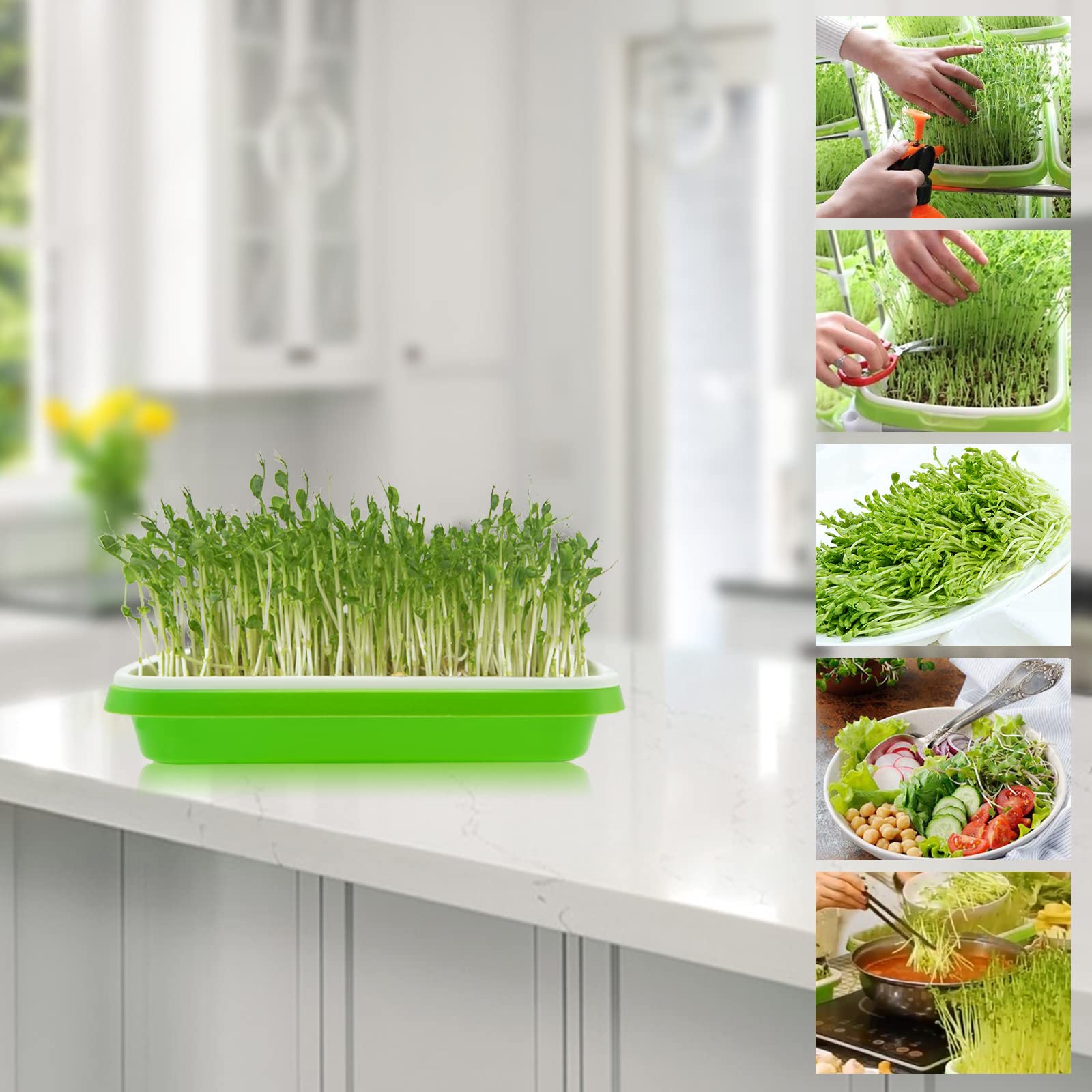 6 Plateaux De Germination Jayruit - 54,5x28,5 Cm, Noir, Sans Trous, Pour Jardinage Intérieur/Extérieur