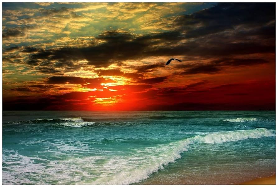 Amazon.co.jp: Potooart 海の写真 海の景色 ポスター キャンバス