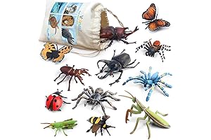 Volnau Bug Toys Figurines 12PCS: Tiny Explorers' Guide to Bugs