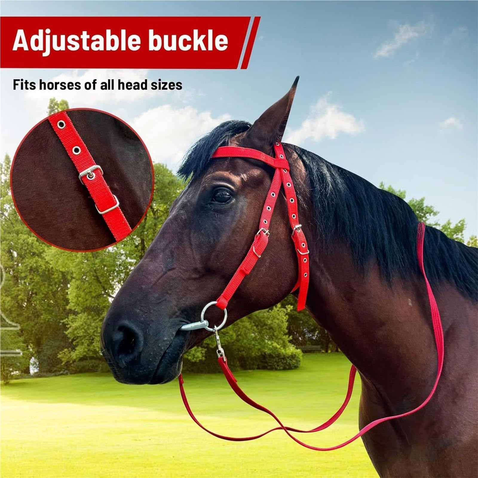 Cavezza Per Cavallo Filetto regolabile Capezzina in nylon Redini equini foderati Forniture equestri for equitazione(S)