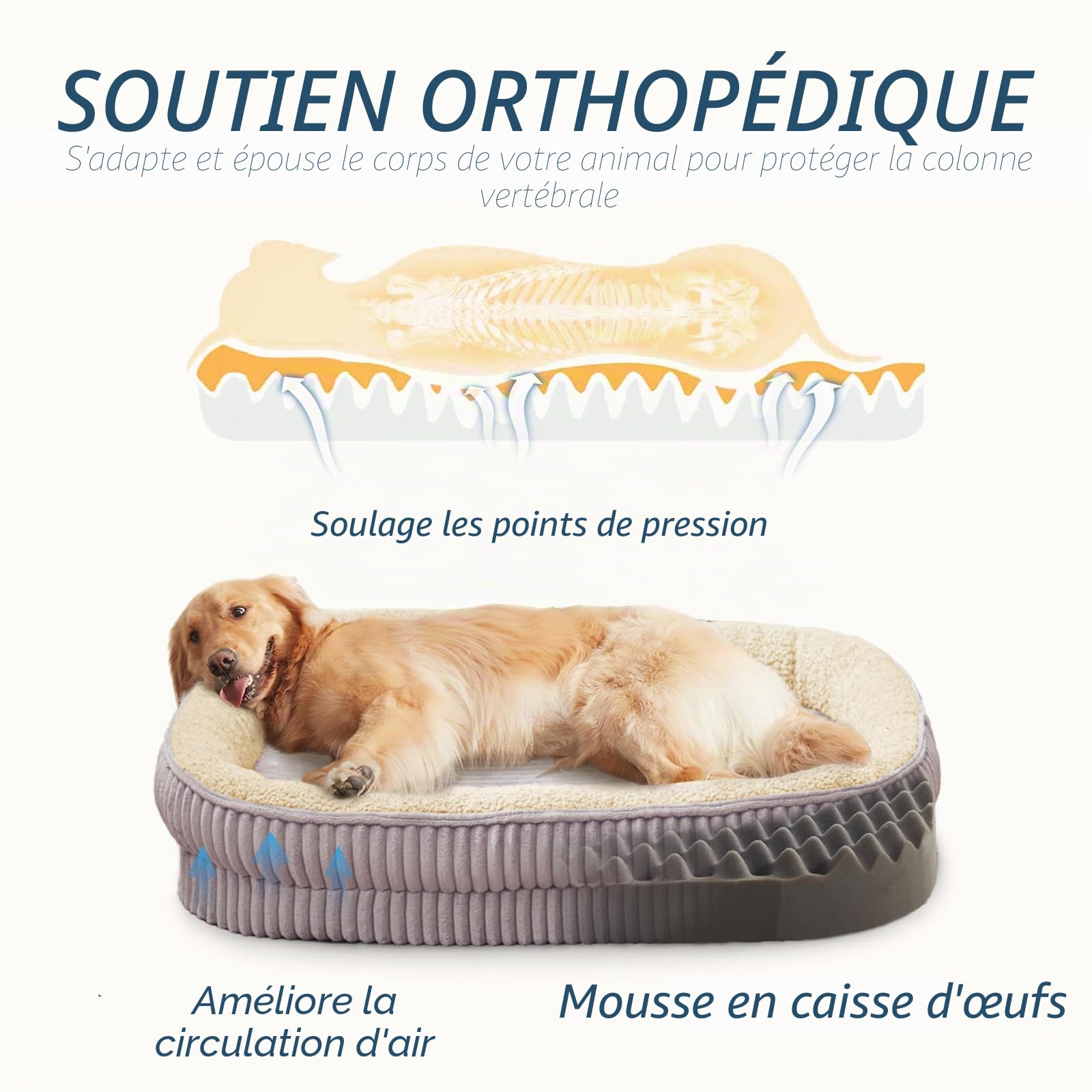 Panier pour Chien, lit orthopédique pour Chiens de Taille Moyenne, canapé pour Chien en Mousse Haute densité, Housse Amovible et Lavable, Base antidérapante, Gris