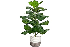 Create a Lifelike Atmosphere with BESAMENATURE's Faux Fiddle Leaf Fig Tree