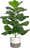 BESAMENATURE 31" Artificial Fiddle Leaf Fig Tree, Faux Ficus Lyrata in Cotton Rope Basket - Realistic Home Office Decor