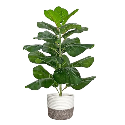 BESAMENATURE Artificial Fiddle Leaf Fig Tree/Faux Ficus Lyrata for Home Office Decoration, 30.5" Tall, with Cotton Rope Basket - White and Brown Basket - 1