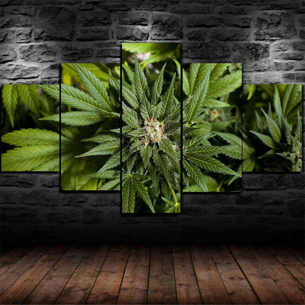 Gmoope Impreso Mural 5 Piezas Lienzos Cuadros Pinturas Póster Marihuana Cannabis 420 Impresiones En Lienzo Decoración Arte De La Pared del Hogar