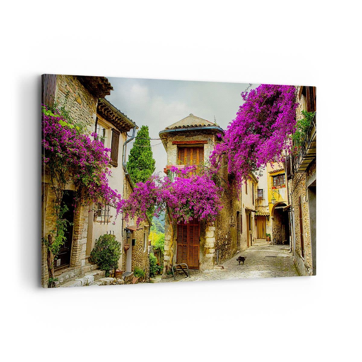 Lienzo Decorativo 120x80cm Moderno Horizontal Arquitectura Botánica - 3589 | Calle Verano Flores Cuadro sobre Lienzo Grande Arte mural Decoración del Hogar Salón Dormitorio Oficina Cuadros de Pared