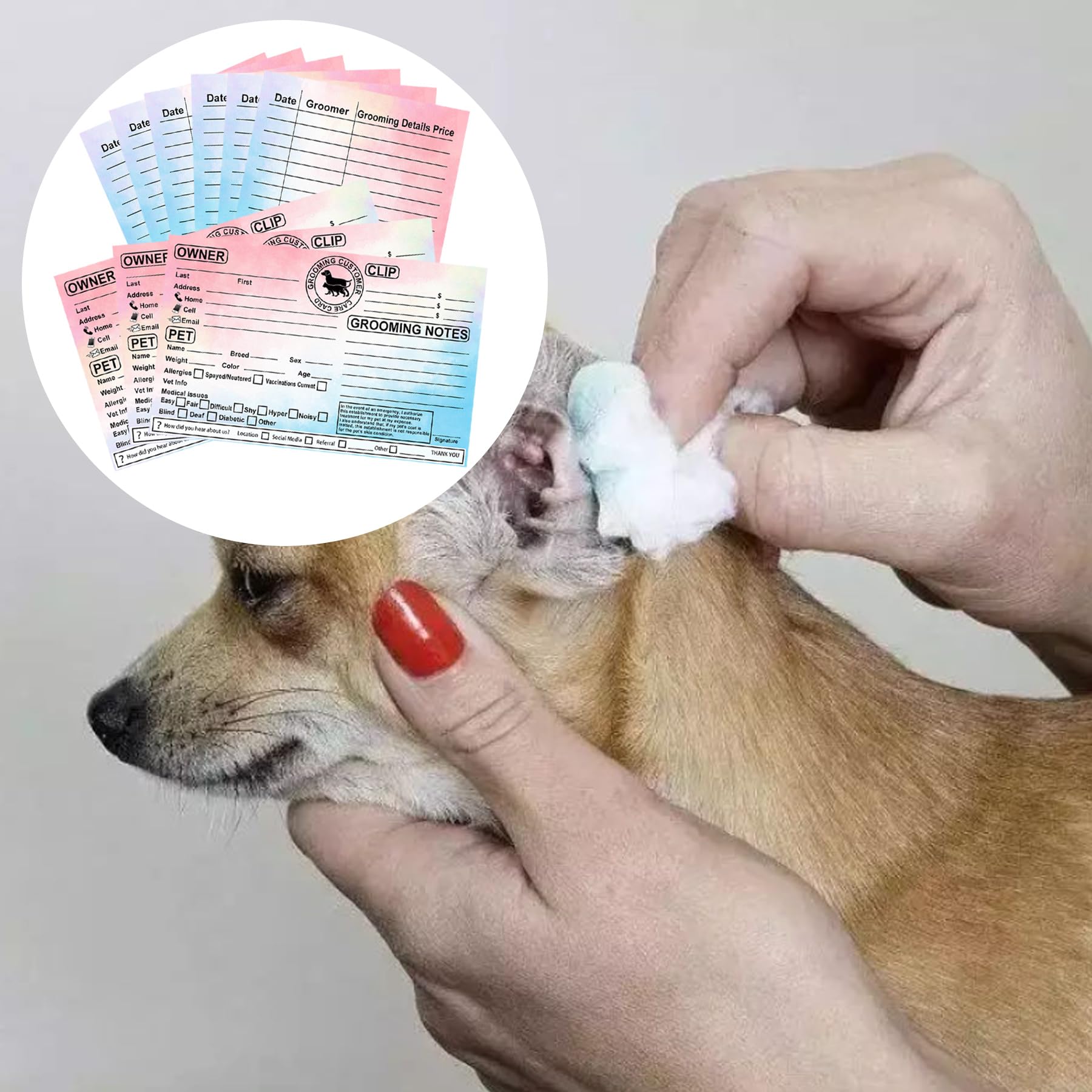 Wootile Pet Grooing Client Cards, 8X5 Inch, Detailed Inforation - View #2